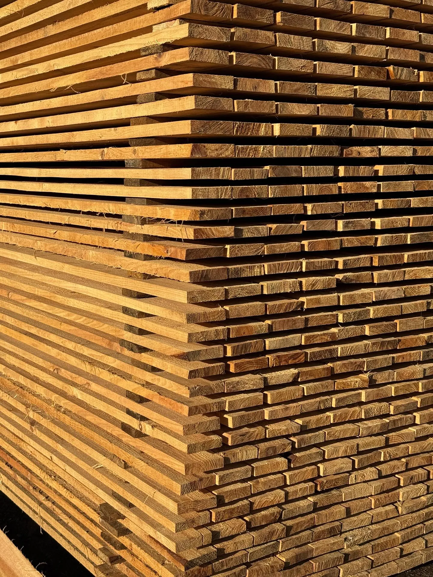 🪵 Venta de madera cruda 🪵

📏 Disponemos de diferentes dimensiones para que elijas según tu proyecto.
Ideal para:
✔️ Construcción
✔️ Carpintería
✔️ Proyectos de transformación y acabado

🔨 Tú le das la forma, nosotros te damos la base.

📞 Escríbenos para cotizar.