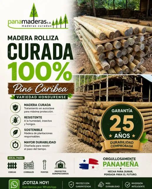 Yo haría un copy que transmita confianza y calidad, no solo que venda el producto. Algo así:

⸻

🌲 La calidad comienza desde el tratamiento de la madera.

En Panamaderas ofrecemos madera rolliza 100% curada en autoclave, elaborada con Pino Caribe (Variedad Hondureña) para brindar máxima protección y una vida útil superior.

✅ Resistente a la humedad, insectos y hongos.
✅ Hasta 25 años de durabilidad comprobada.
✅ Ideal para cercas, corrales, postes y proyectos agropecuarios.
✅ Madera de plantaciones responsables.

Invierte una vez, construye para muchos años.

📲 Cotiza con nosotros por WhatsApp.

#Panamaderas #MaderaCurada #PinoCaribea #Postes #Cercas Agro Construcción Panamá Durabilidad Calidad

⸻

O, si buscas un copy más corto y con mayor impacto para Facebook e Instagram:

No toda la madera es igual. 🌲
Elige madera rolliza 100% curada en autoclave, diseñada para resistir humedad, insectos y hongos, con hasta 25 años de durabilidad comprobada.
Ideal para cercas, corrales, postes y proyectos agropecuarios.
📲 Solicita tu cotización hoy mismo por WhatsApp.