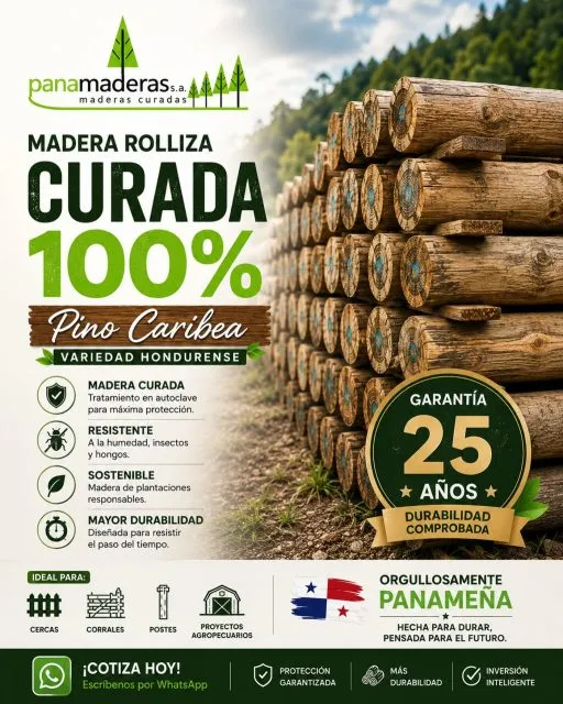 🌲 La calidad que tu proyecto merece. 🌲

En Panamaderas S.A. te ofrecemos madera rolliza curada 100%, fabricada con Pino Caribea variedad hondurense, tratada para brindar máxima resistencia y una garantía de hasta 25 años.

✅ Tratamiento en autoclave
✅ Protección contra humedad, hongos e insectos
✅ Alta durabilidad para uso exterior
✅ Ideal para cercas, corrales, postes, fincas y proyectos agropecuarios

Porque una buena inversión comienza con materiales de calidad.

📲 ¡Cotiza hoy mismo! Nuestro equipo está listo para asesorarte y ayudarte a elegir la mejor opción para tu proyecto.

Panamaderas S.A.
🌲 Calidad que perdura. Confianza que se construye.

#Panamaderas #MaderaCurada #MaderaRolliza #PinoCaribea #Postes Cercas Construcción Agro Ganadería Panamá MaderaTratada CalidadGarantizada